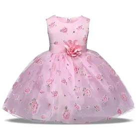 Girls Dress, Pink Princess Lace Dress, Floral 4-10 Yrs