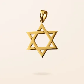 Limited Edition 10K Gold Star of David Charm