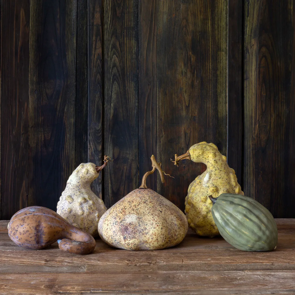 Moonlight Gourds