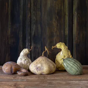 Moonlight Gourds